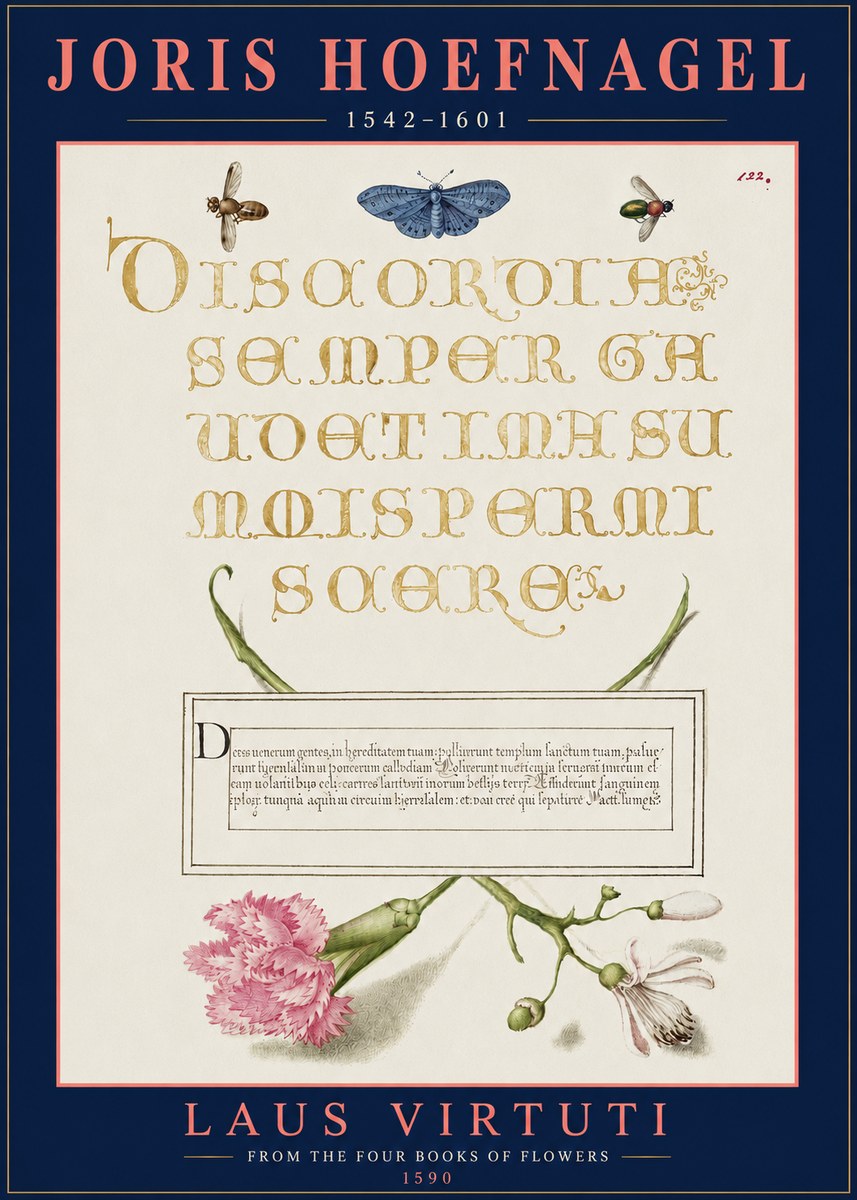 Joris Hoefnagel Laus Virtuti No3 - Poszter