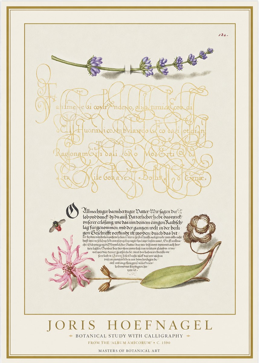 Joris Hoefnagel Botanical Study with Calligraphy IV No1 - Poszter