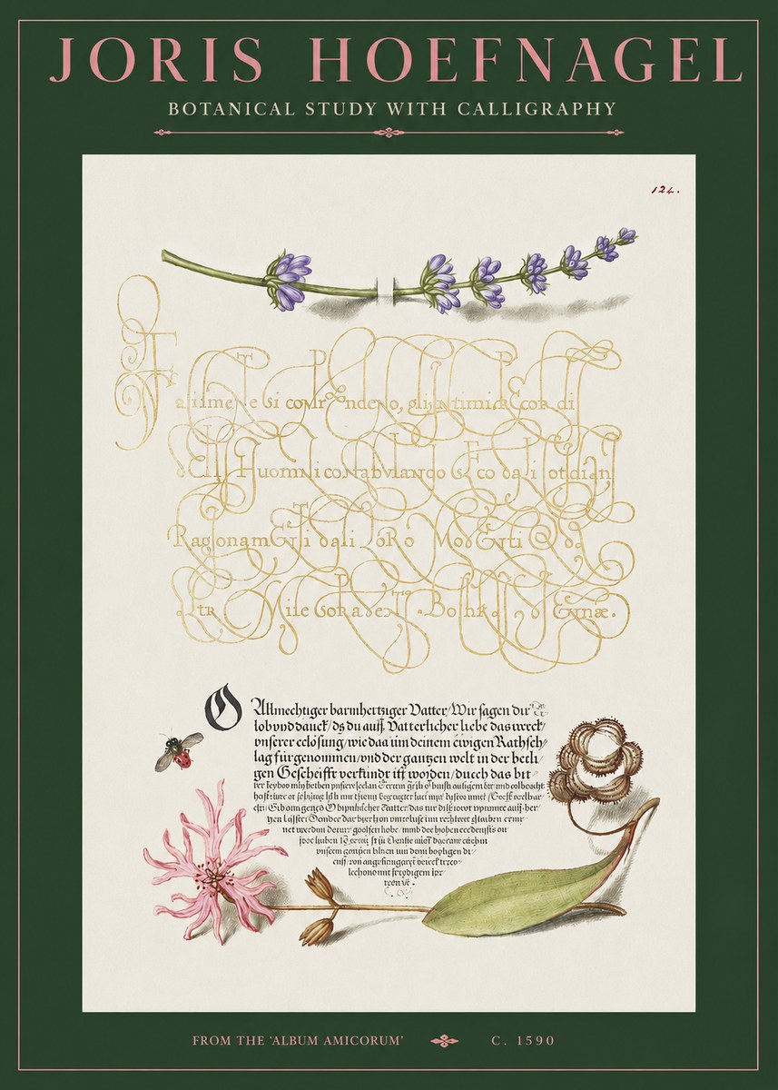 Joris Hoefnagel Botanical Study with Calligraphy IV No2 - Poszter
