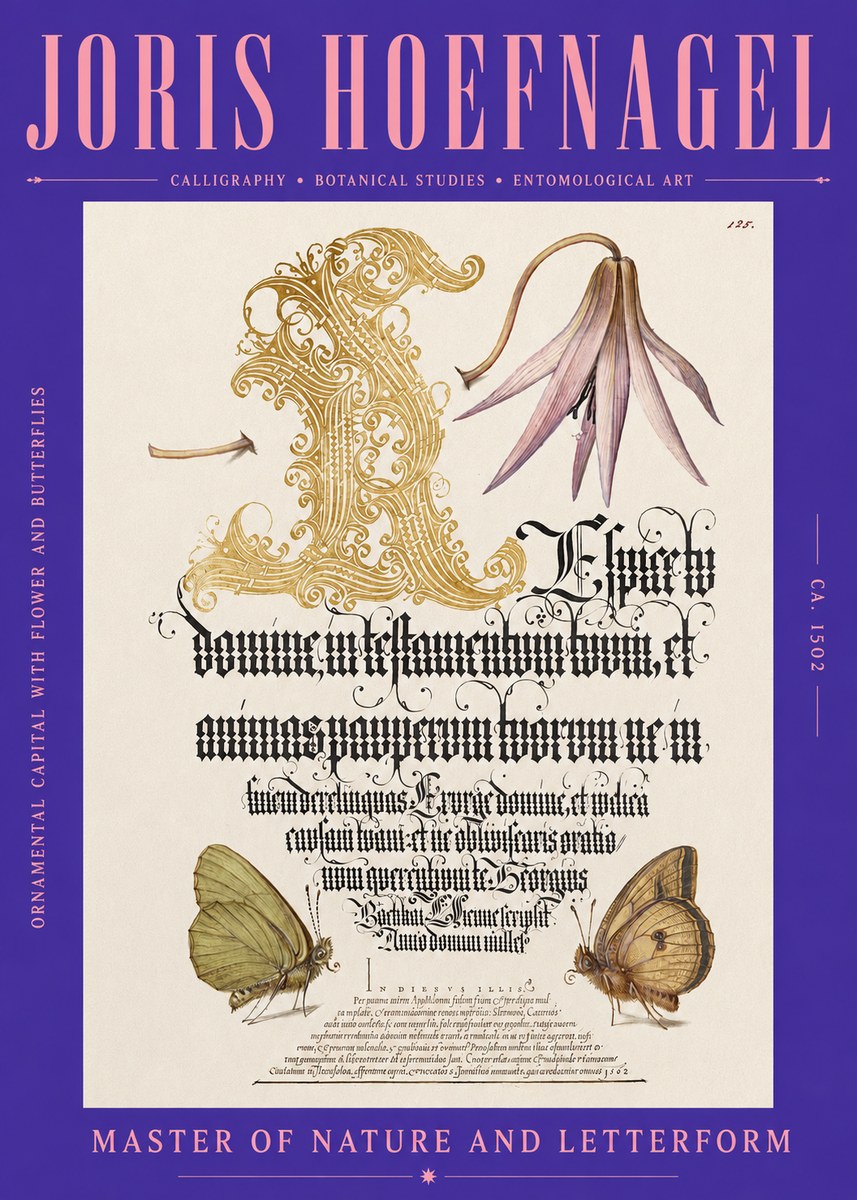 Joris Hoefnagel Ornamental Capital with Flower and Butterflies No2 - Poszter
