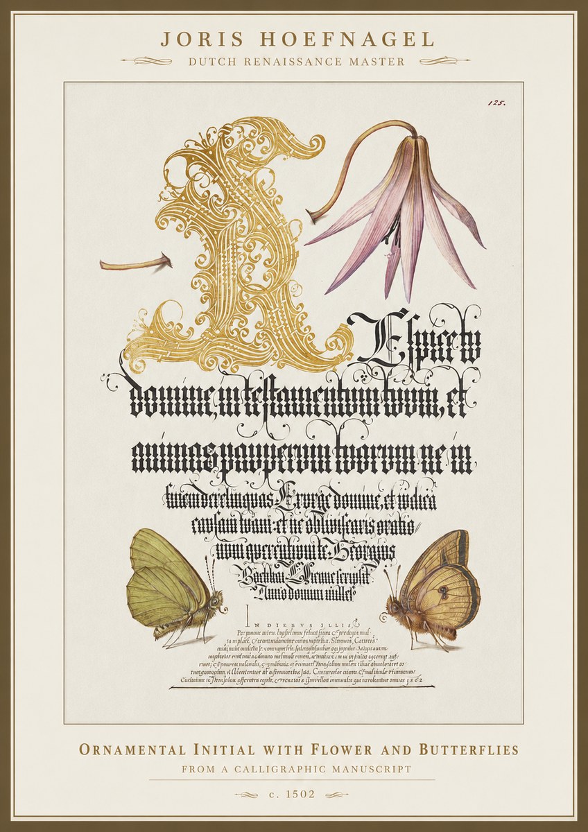 Joris Hoefnagel Ornamental Capital with Flower and Butterflies No5 - Poszter