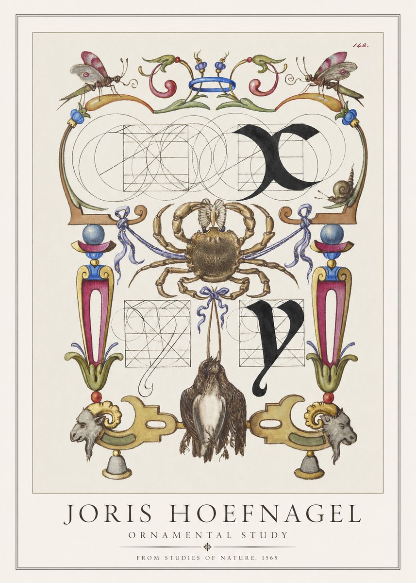 Joris Hoefnagel Ornamental Study II No1 - Poszter