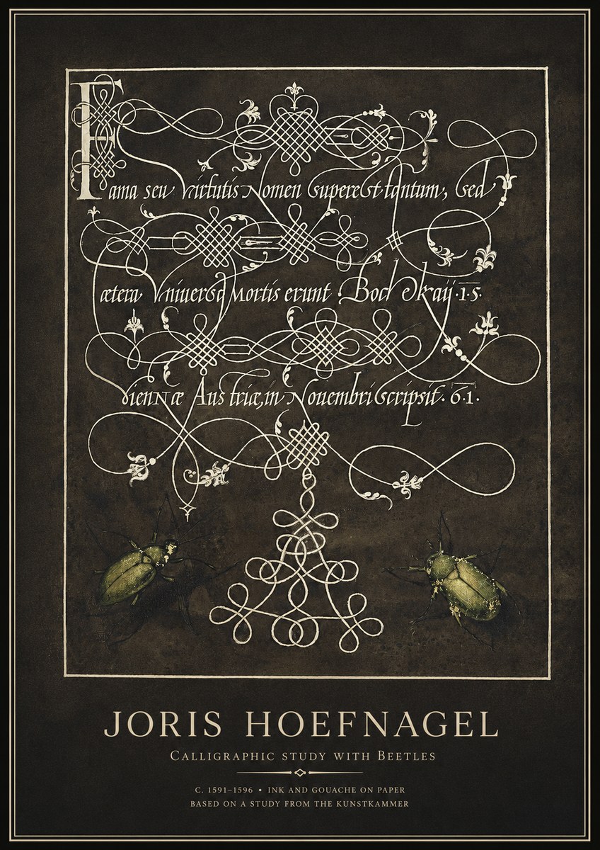 Joris Hoefnagel Calligraphic Study with Beetles No1 - Poszter