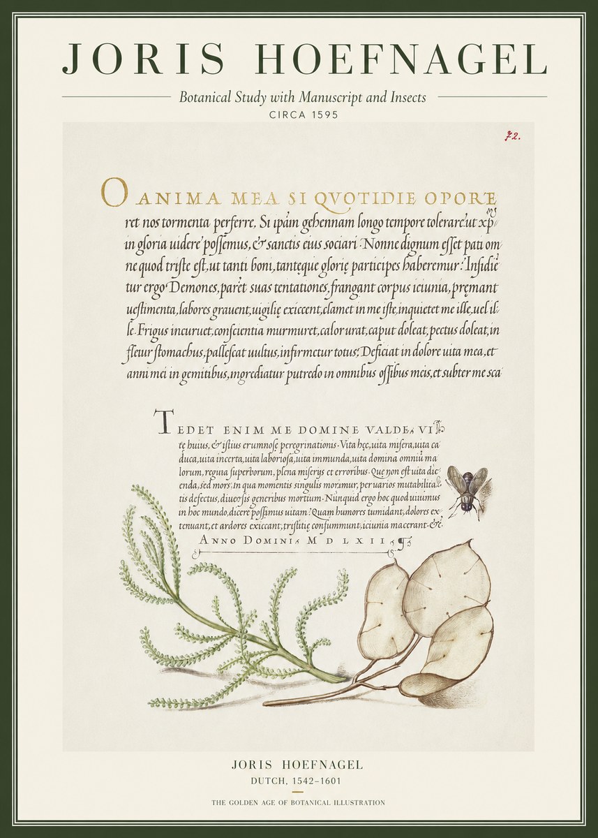 Joris Hoefnagel Botanical Study with Manuscript and Insects No1 - Poszter