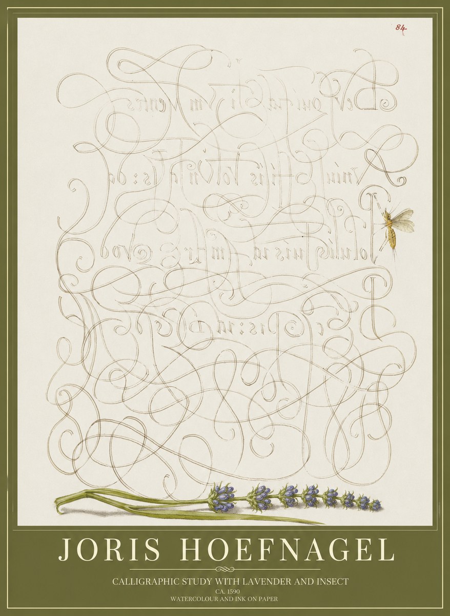 Joris Hoefnagel Calligraphic Study with Insect and Flower No5 - Poszter