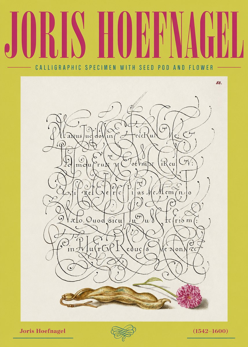 Joris Hoefnagel Calligraphic Specimen with Seed Pod and Flower No2 - Poszter