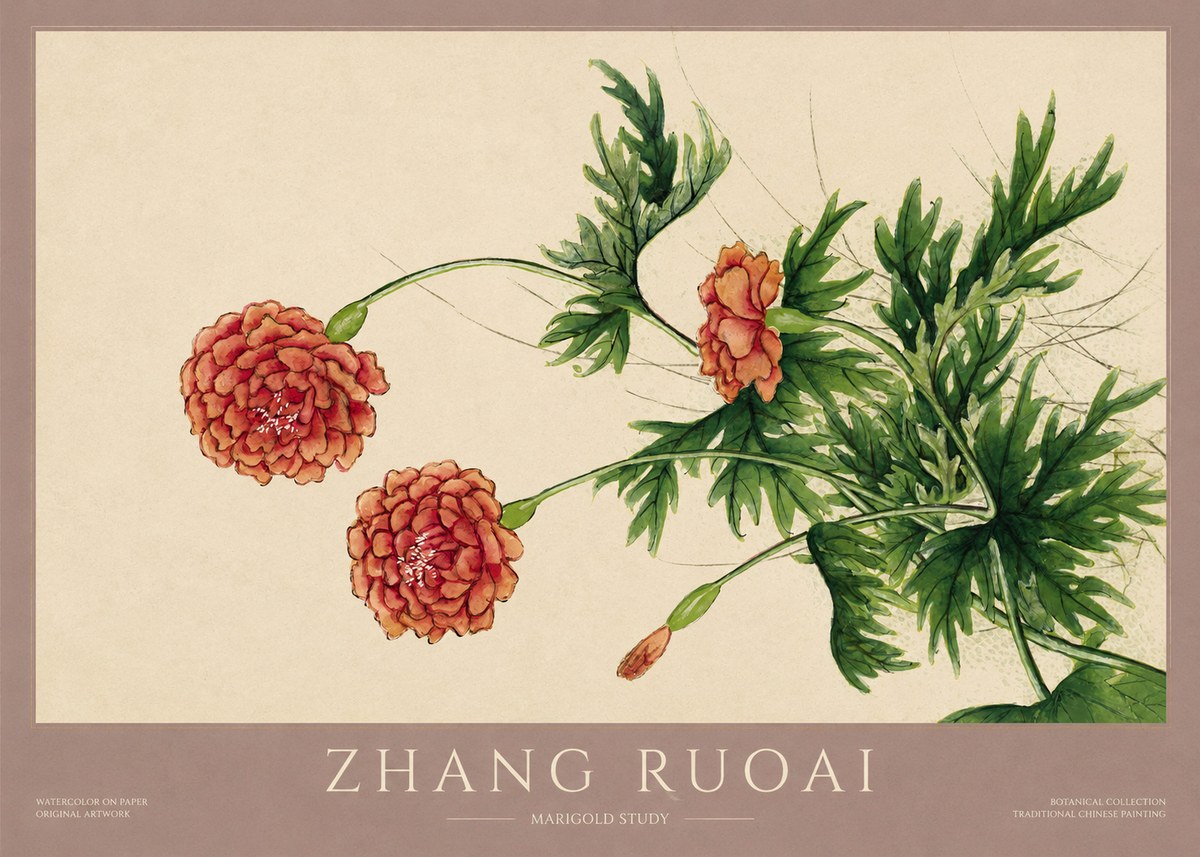 Zhang Ruoai Marigold Study No1 - Poszter
