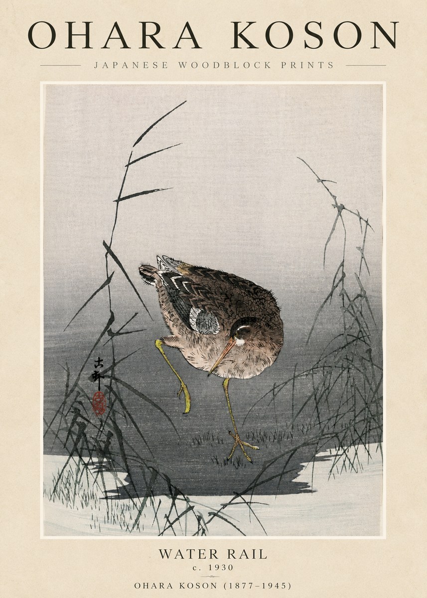 Ohara Koson Water Rail No3 - Poszter