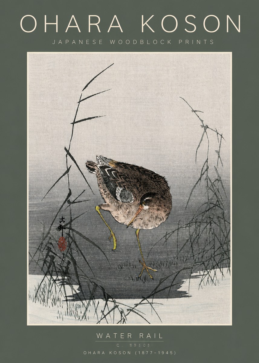 Ohara Koson Water Rail No5 - Poszter