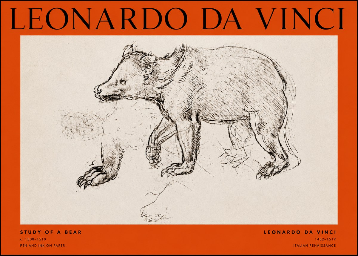 Leonardo da Vinci Study of a Bear No2 - Poszter