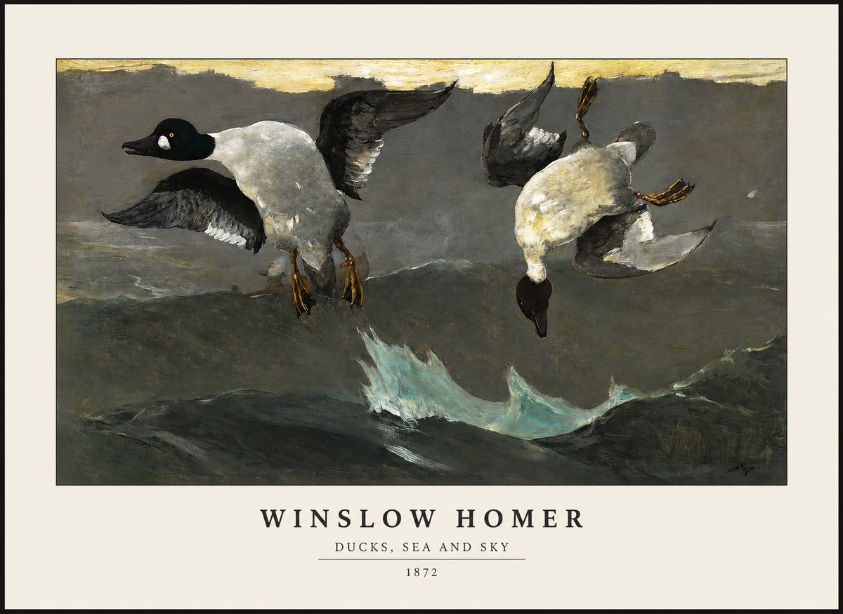 Winslow Homer Ducks, Sea and Sky No1 - Poszter