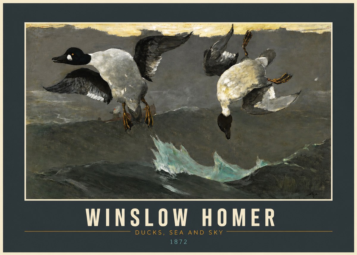 Winslow Homer Ducks, Sea and Sky No2 - Poszter