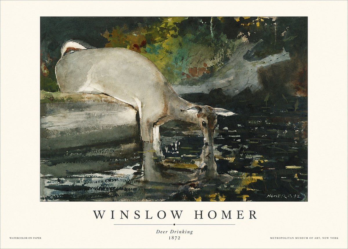 Winslow Homer Deer Drinking No1 - Poszter