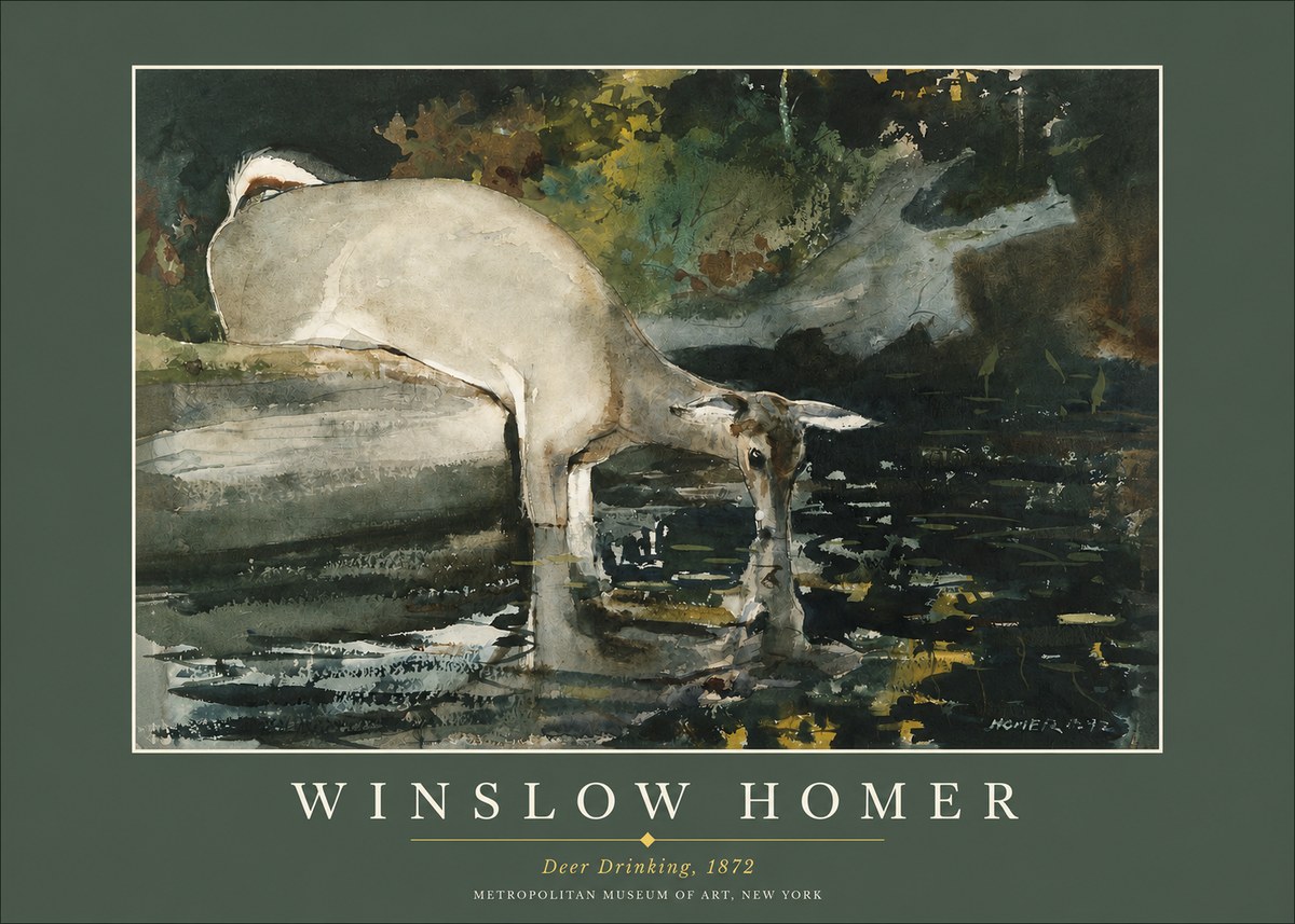 Winslow Homer Deer Drinking No2 - Poszter