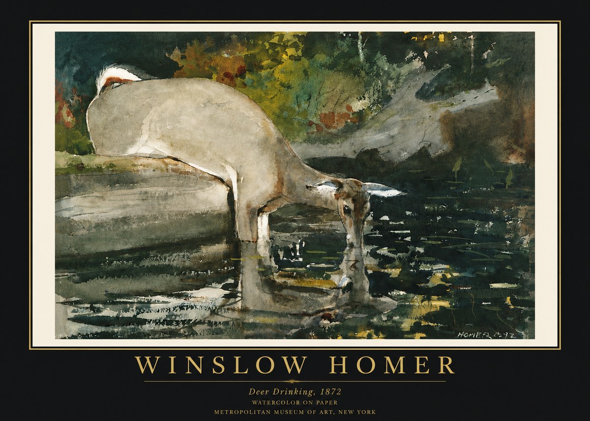 Winslow Homer Deer Drinking No3 - Poszter