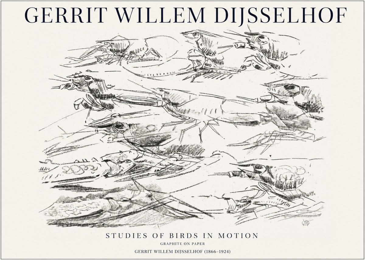 Gerrit Willem Dijsselhof Studies of Birds in Motion No1 - Poszter