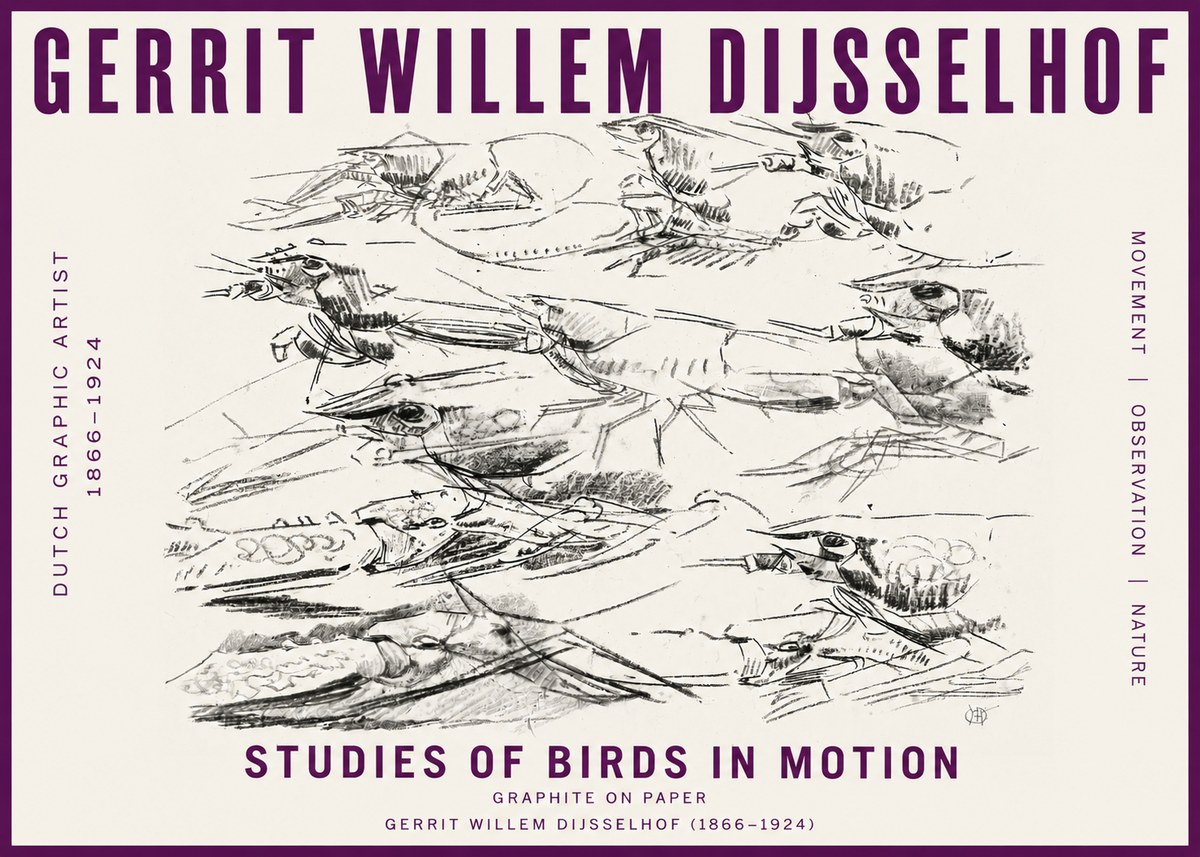 Gerrit Willem Dijsselhof Studies of Birds in Motion No5 - Poszter