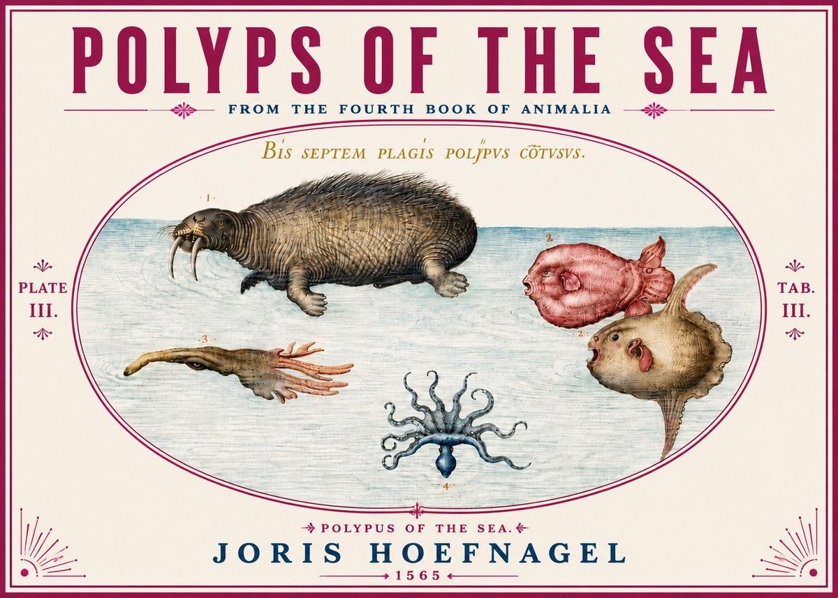 Joris Hoefnagel Polyps of the Sea No6 - Poszter