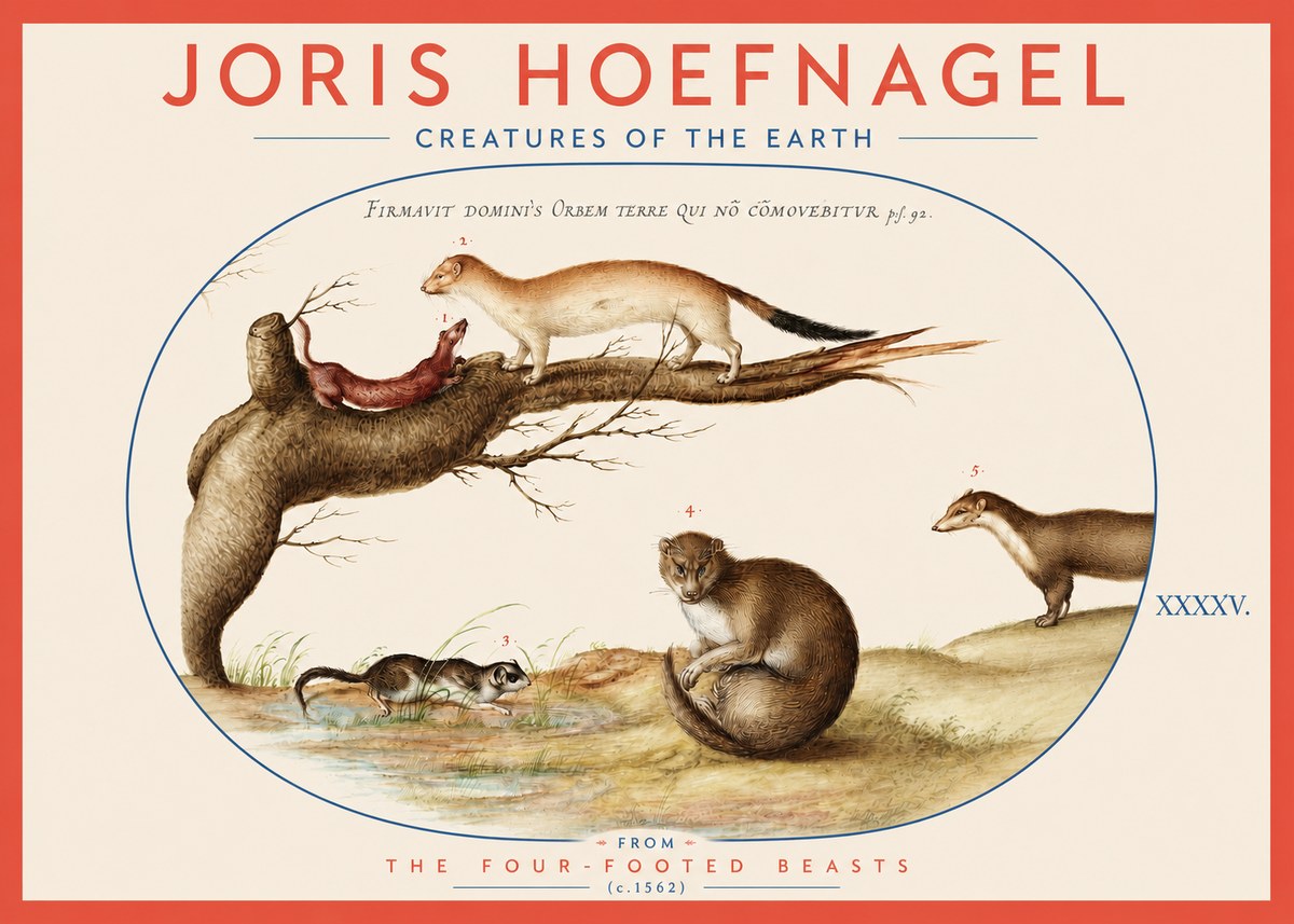 Joris Hoefnagel Creatures of the Earth I No3 - Poszter