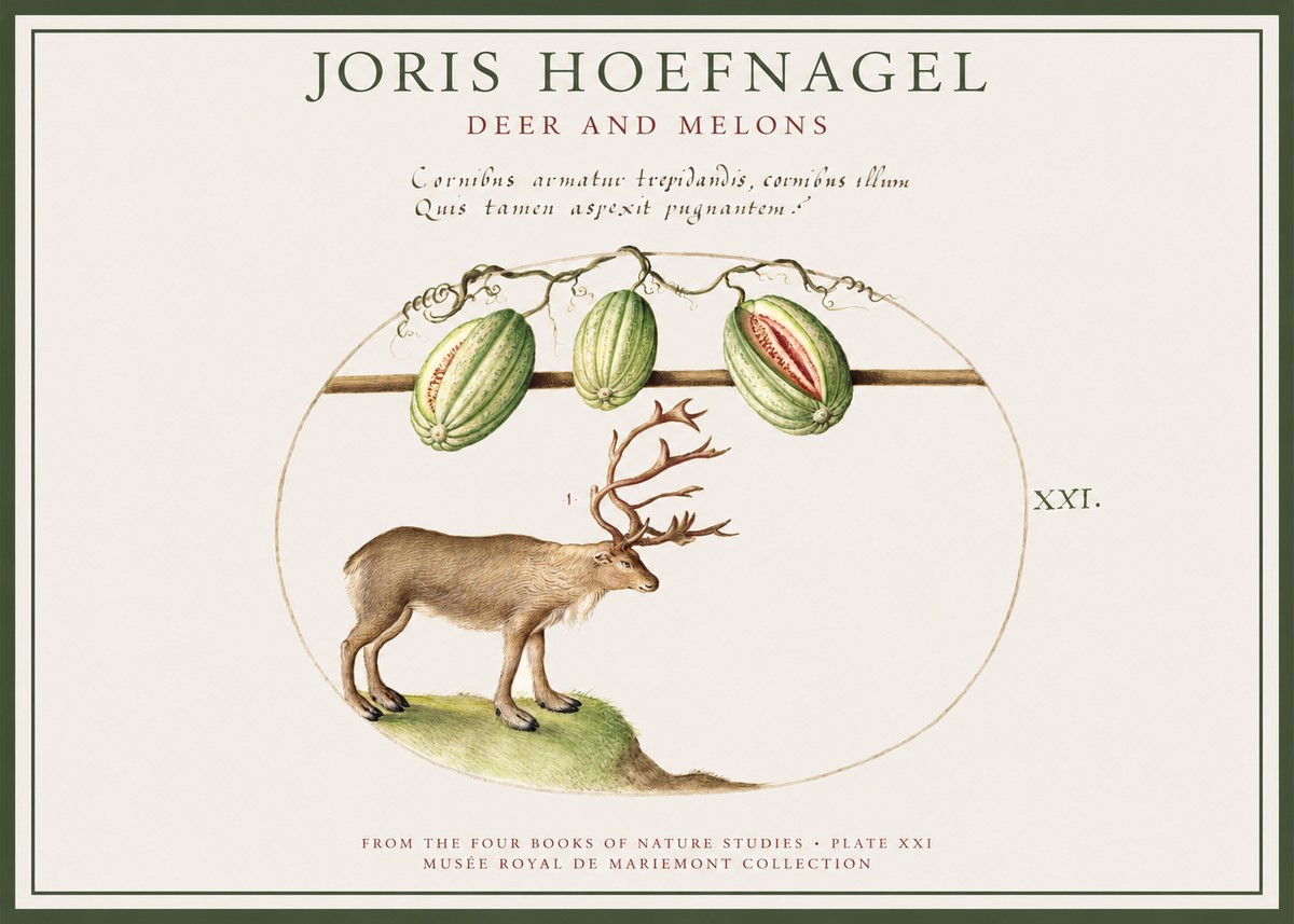 Joris Hoefnagel Arctic Nature Study No4 - Poszter