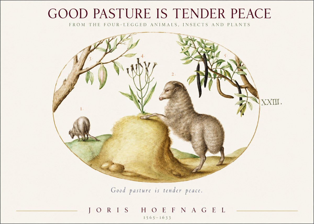 Joris Hoefnagel Good Pasture Is Tender Peace. No1 - Poszter