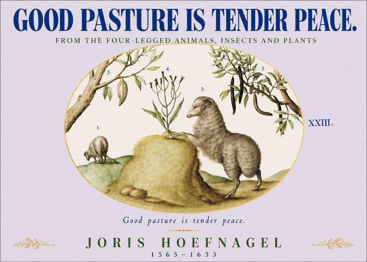 Joris Hoefnagel Good Pasture Is Tender Peace. No4 - Poszter
