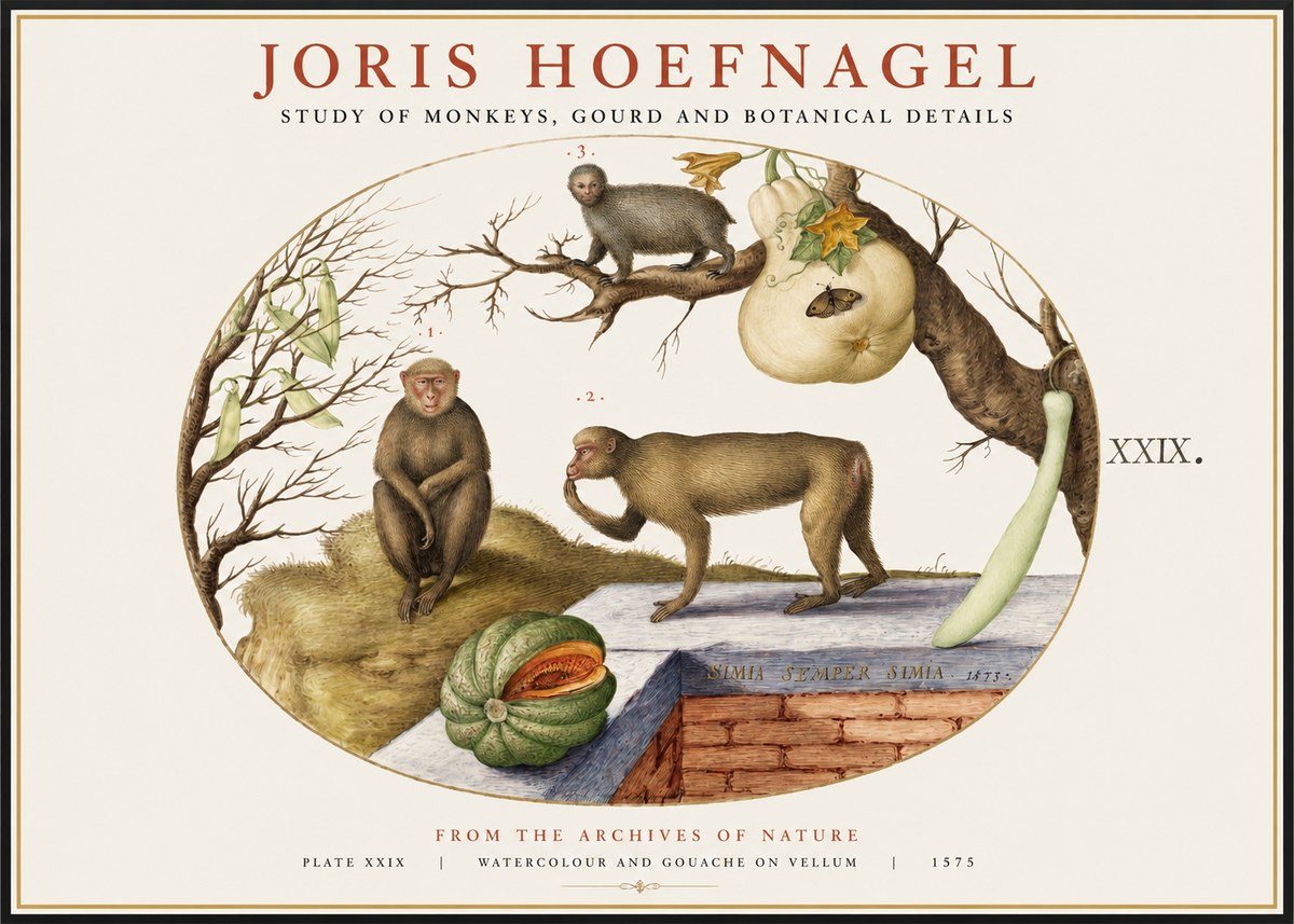 Joris Hoefnagel But Always a Monkey, Always a Monkey. Plate Xxix No2 - Poszter