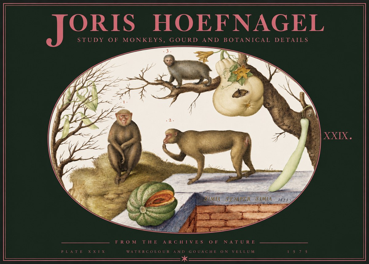 Joris Hoefnagel But Always a Monkey, Always a Monkey. Plate Xxix No3 - Poszter