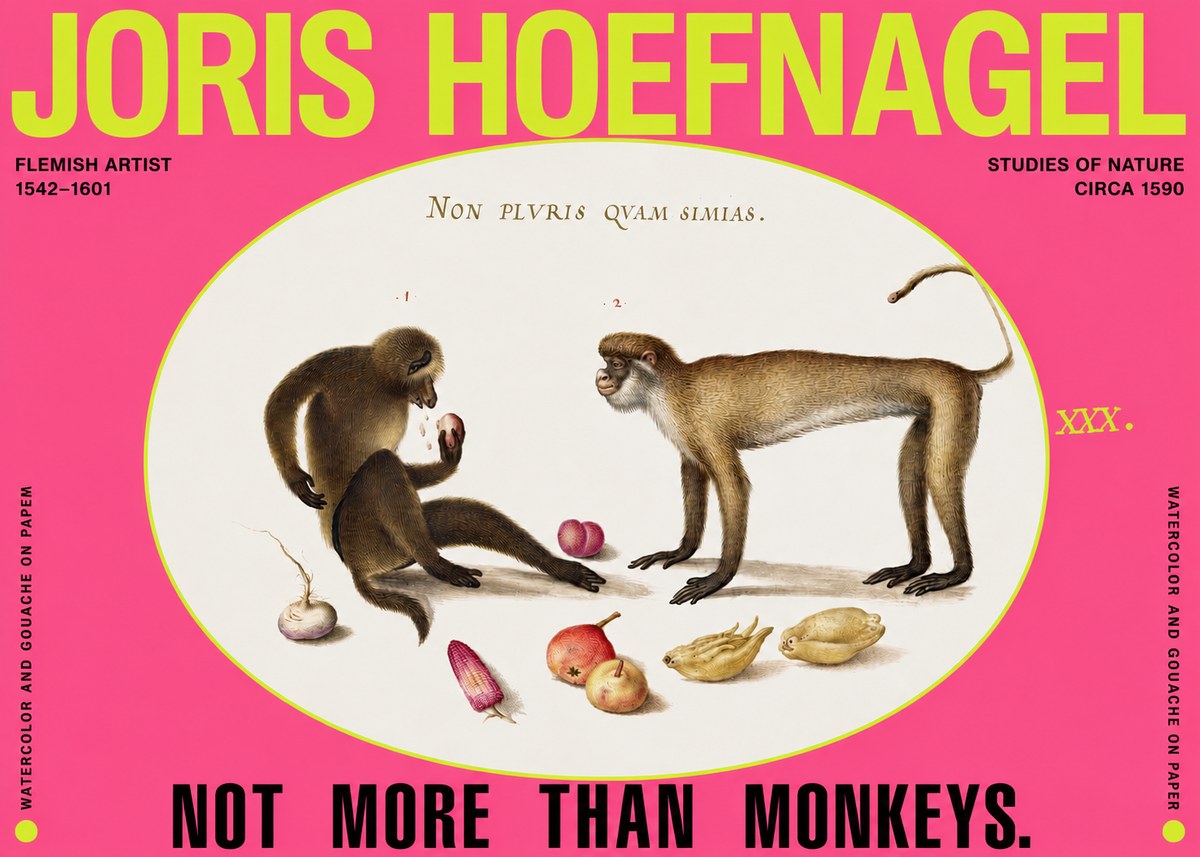 Joris Hoefnagel Not More Than Monkeys No2 - Poszter