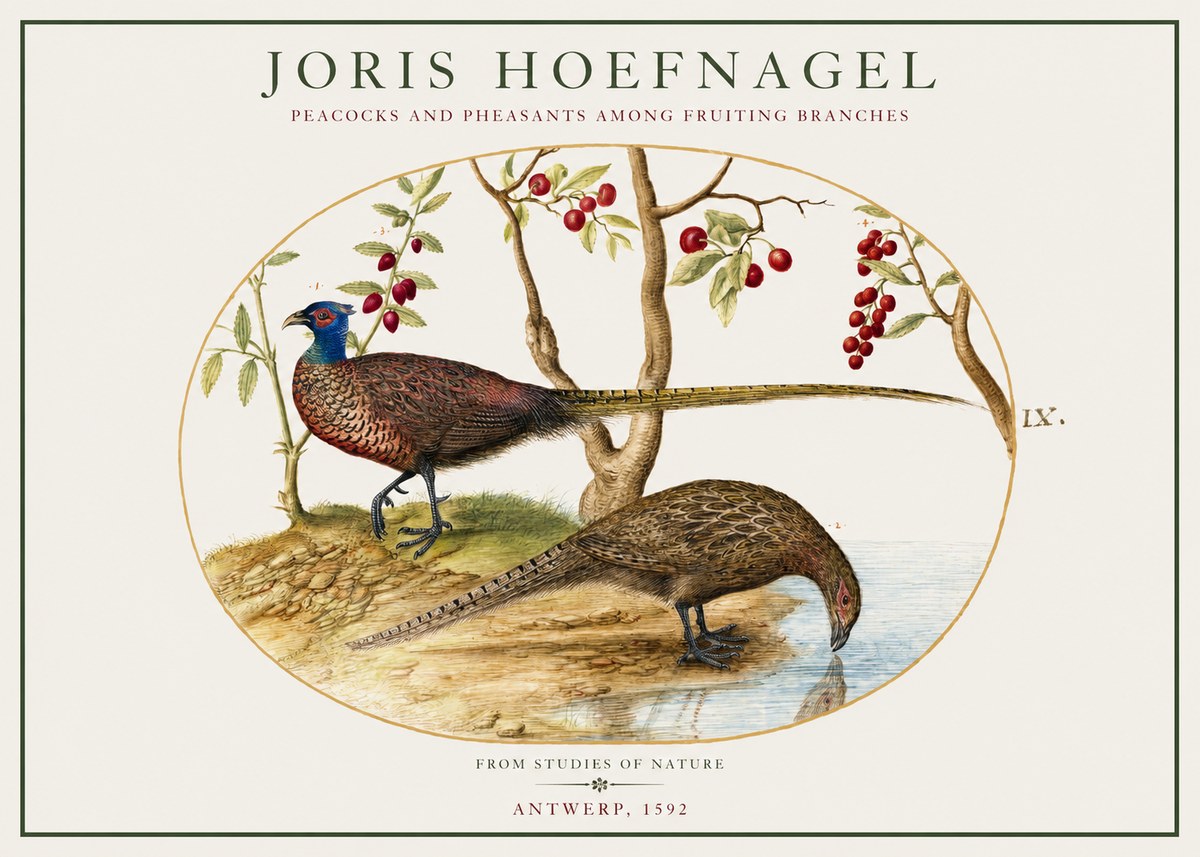 Joris Hoefnagel Peacocks and Pheasants Among Fruiting Branches No1 - Poszter