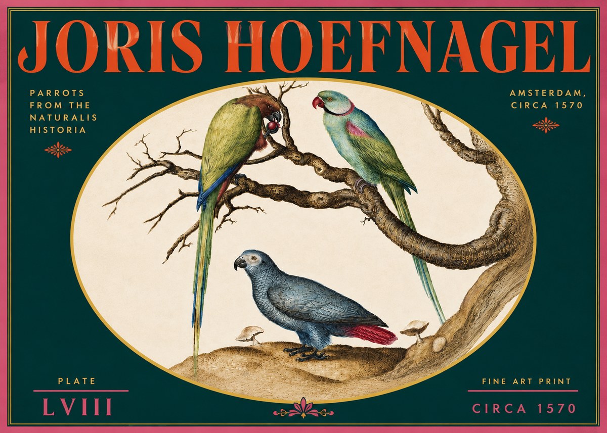 Joris Hoefnagel Parrots from the Naturalis Historia No5 - Poszter
