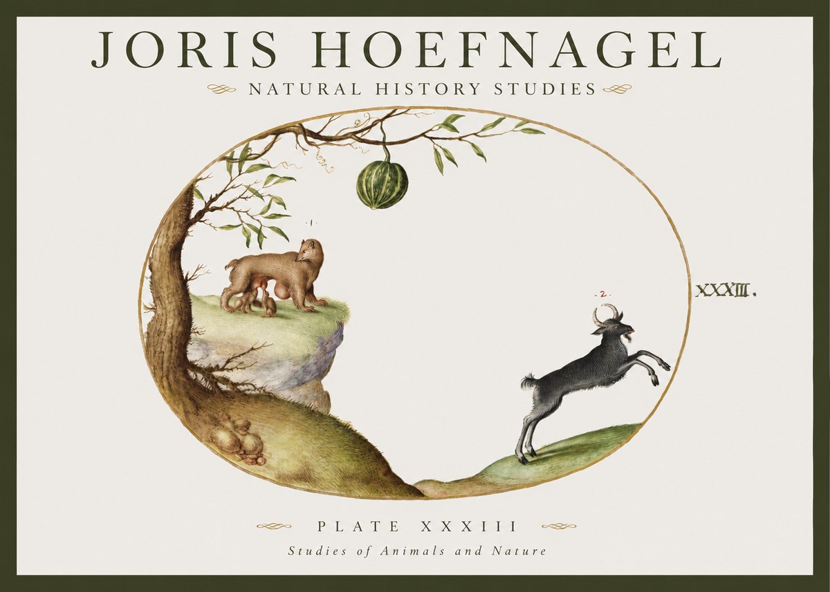 Joris Hoefnagel Plate Xxxiii No1 - Poszter