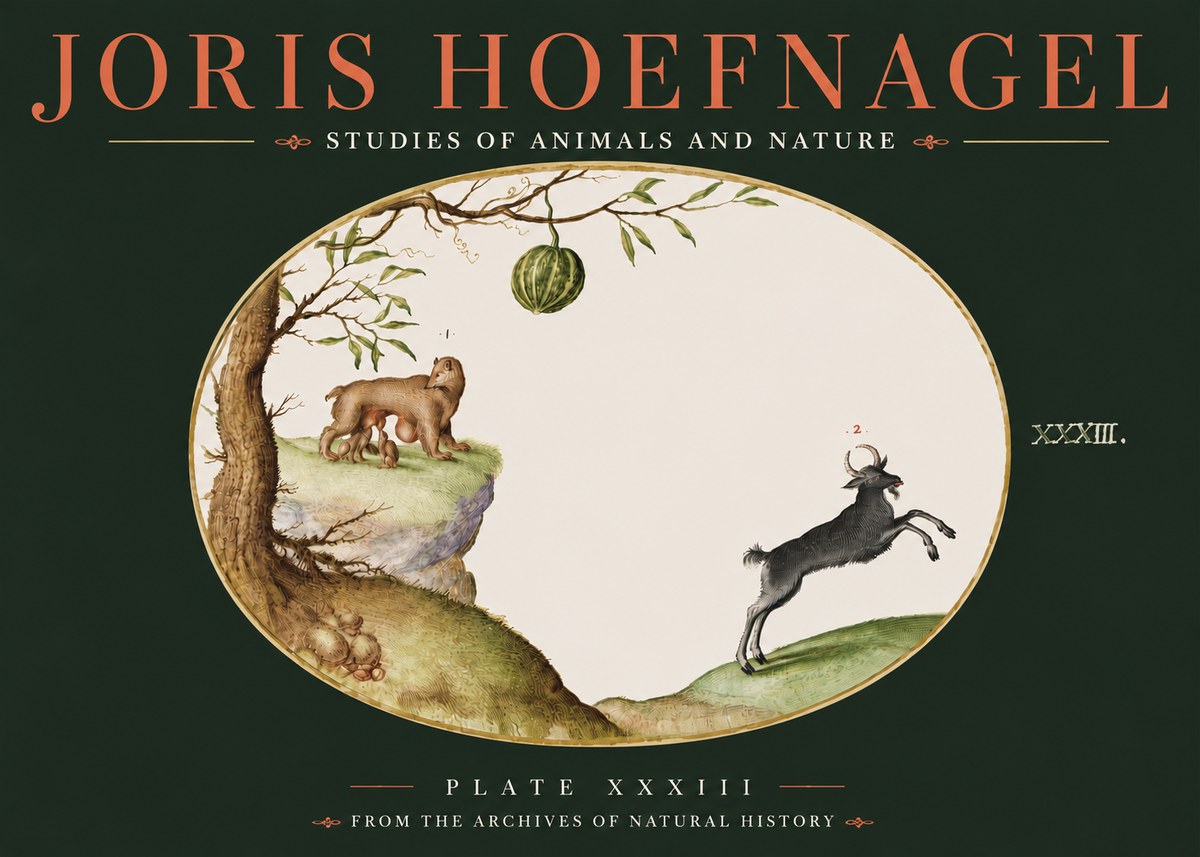 Joris Hoefnagel Plate Xxxiii No4 - Poszter