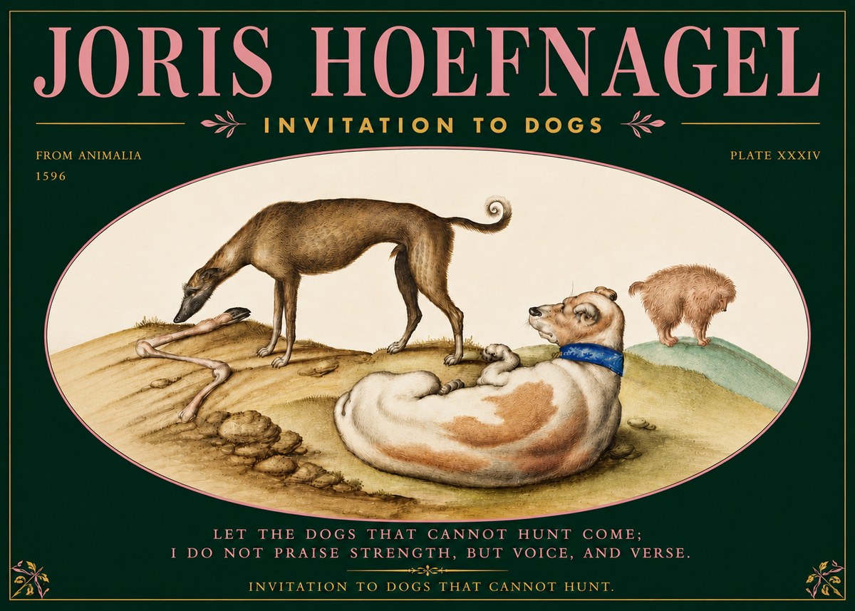 Joris Hoefnagel Invitation to Dogs No5 - Poszter