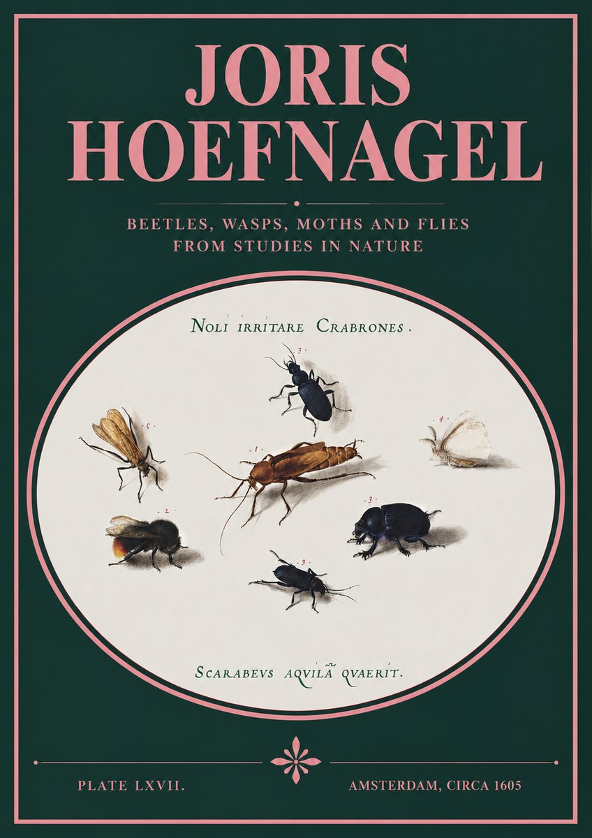 Joris Hoefnagel Scarabeus Aqvilä Qvaerit. No3 - Poszter