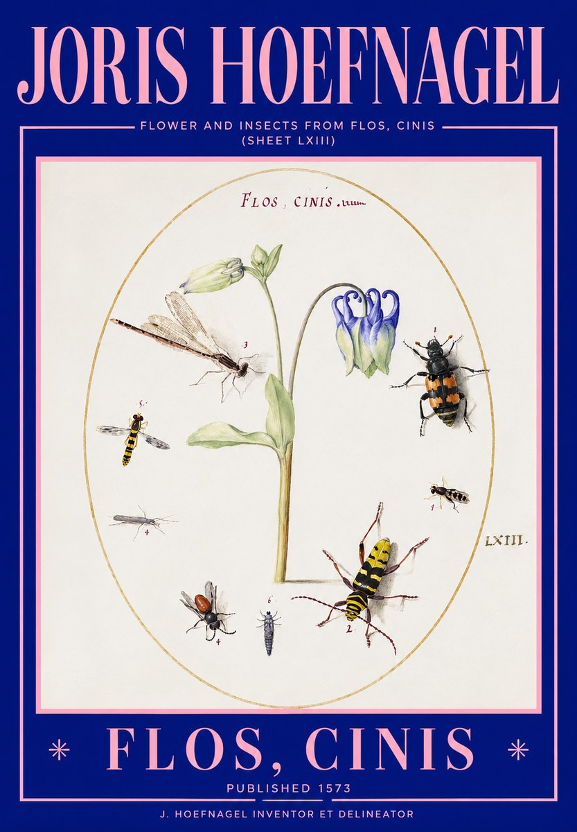 Joris Hoefnagel Insects and a Flower Study No3 - Poszter