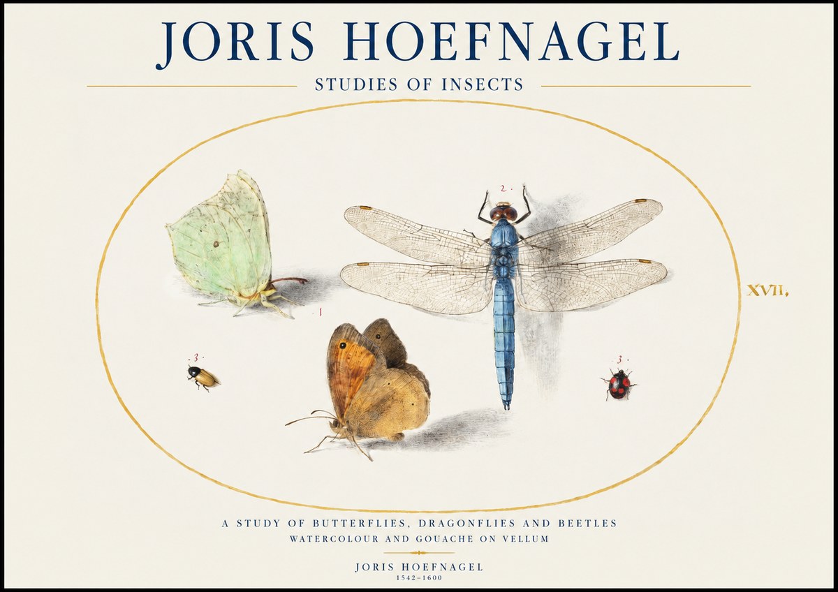 Joris Hoefnagel A Study of Butterflies, Dragonflies and Beetles No1 - Poszter