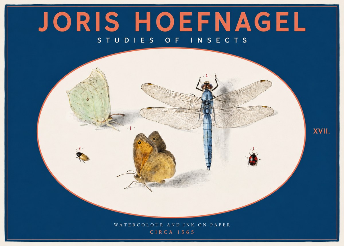 Joris Hoefnagel A Study of Butterflies, Dragonflies and Beetles No3 - Poszter