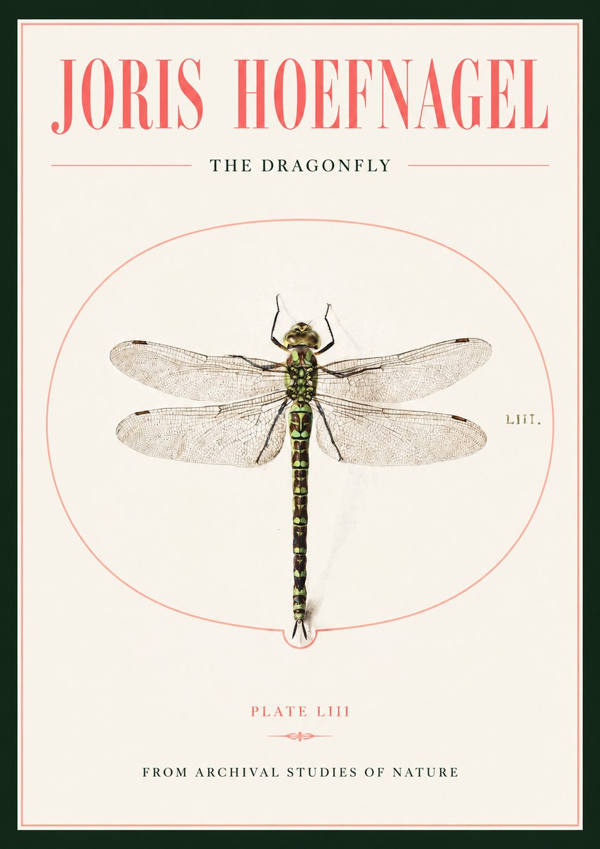 Joris Hoefnagel The Dragonfly No2 - Poszter