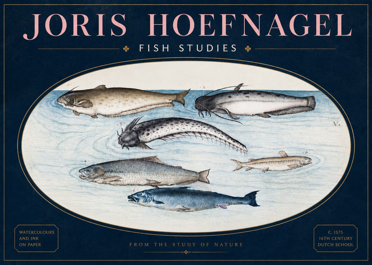 Joris Hoefnagel Fish of the Waters No4 - Poszter