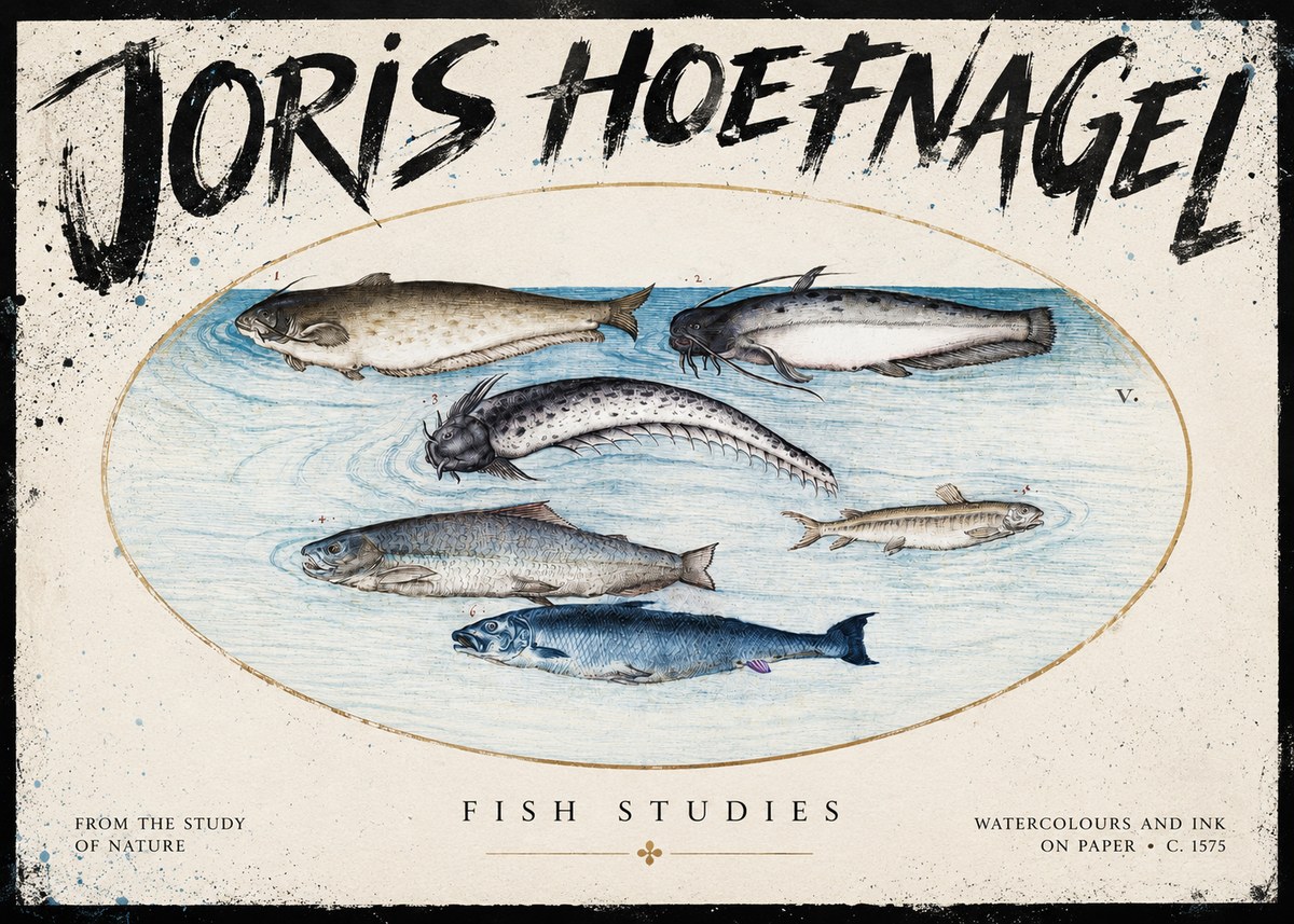 Joris Hoefnagel Fish of the Waters No5 - Poszter