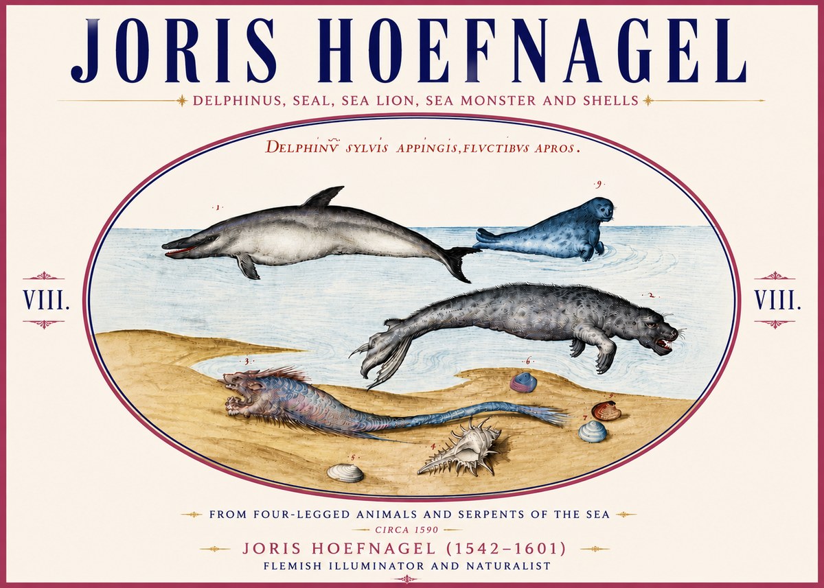 Joris Hoefnagel Delphinus, Seal, Sea Lion, Sea Monster and Shells No6 - Poszter