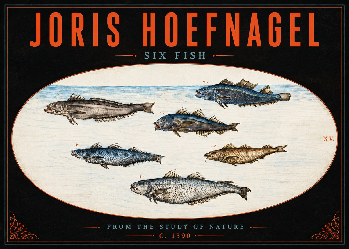 Joris Hoefnagel Six Fish No5 - Poszter