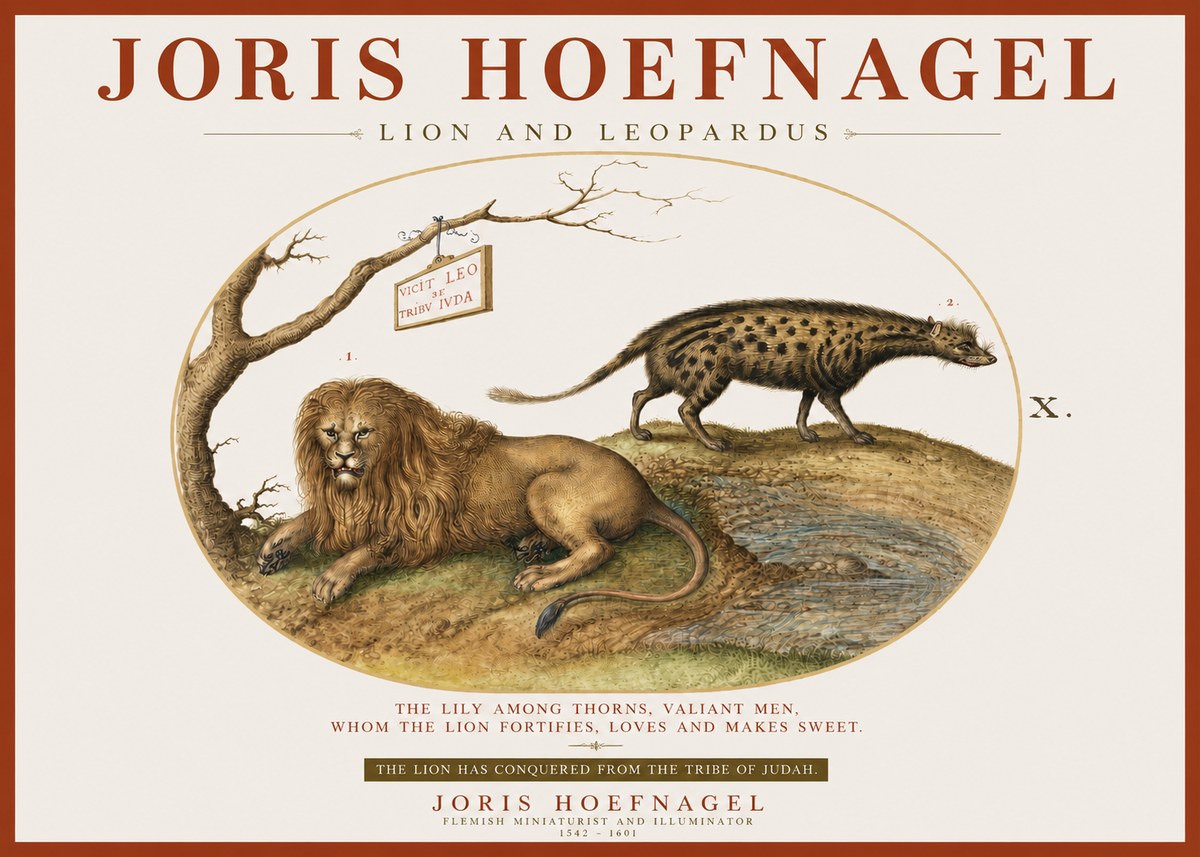 Joris Hoefnagel Lion and Spotted Hyena No4 - Poszter