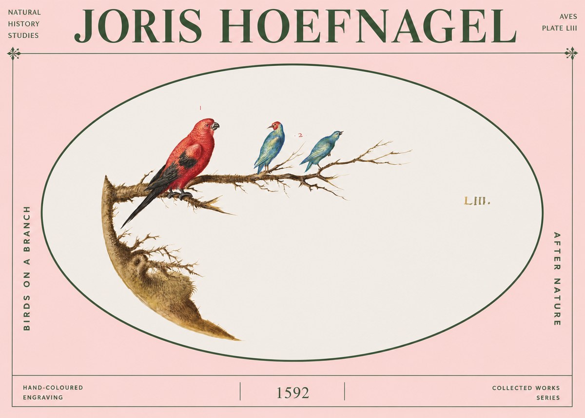 Joris Hoefnagel Birds on a Branch No4 - Poszter