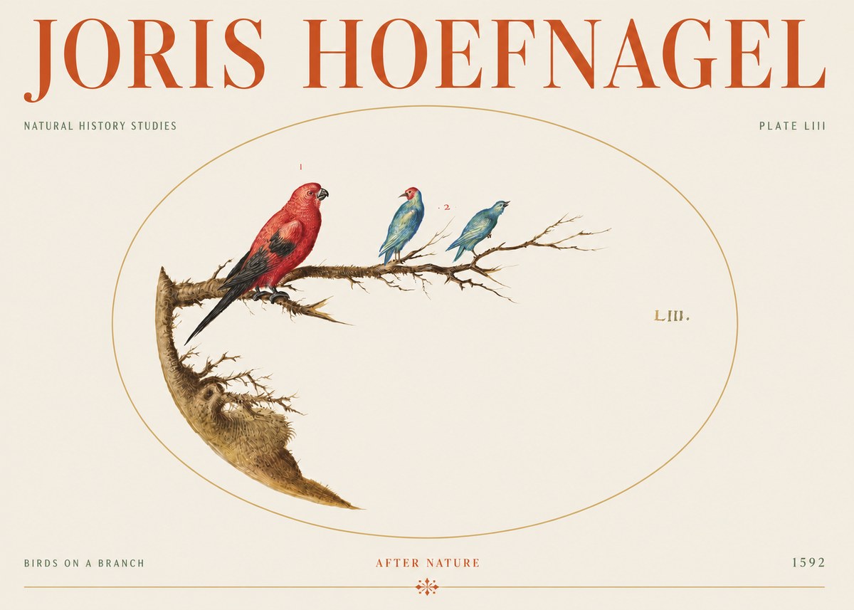 Joris Hoefnagel Birds on a Branch No5 - Poszter