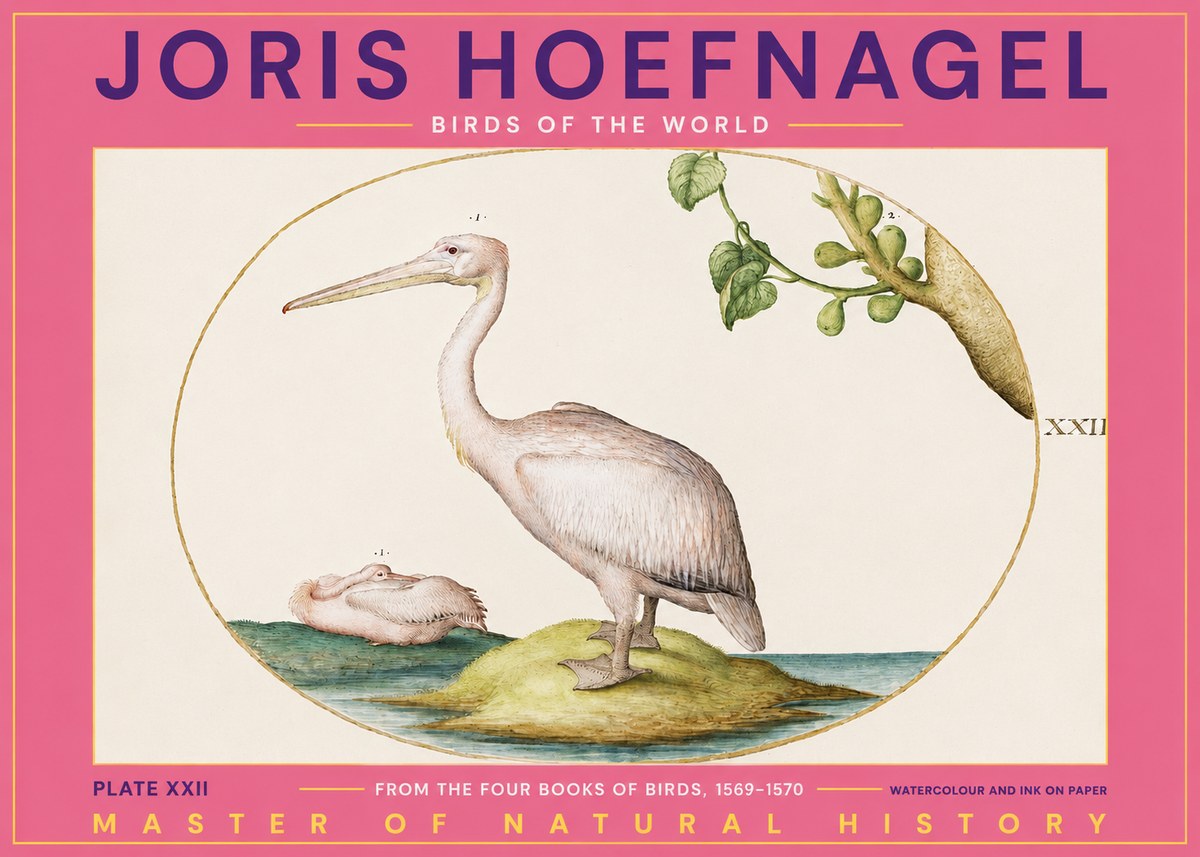 Joris Hoefnagel Plate Xxii No2 - Poszter