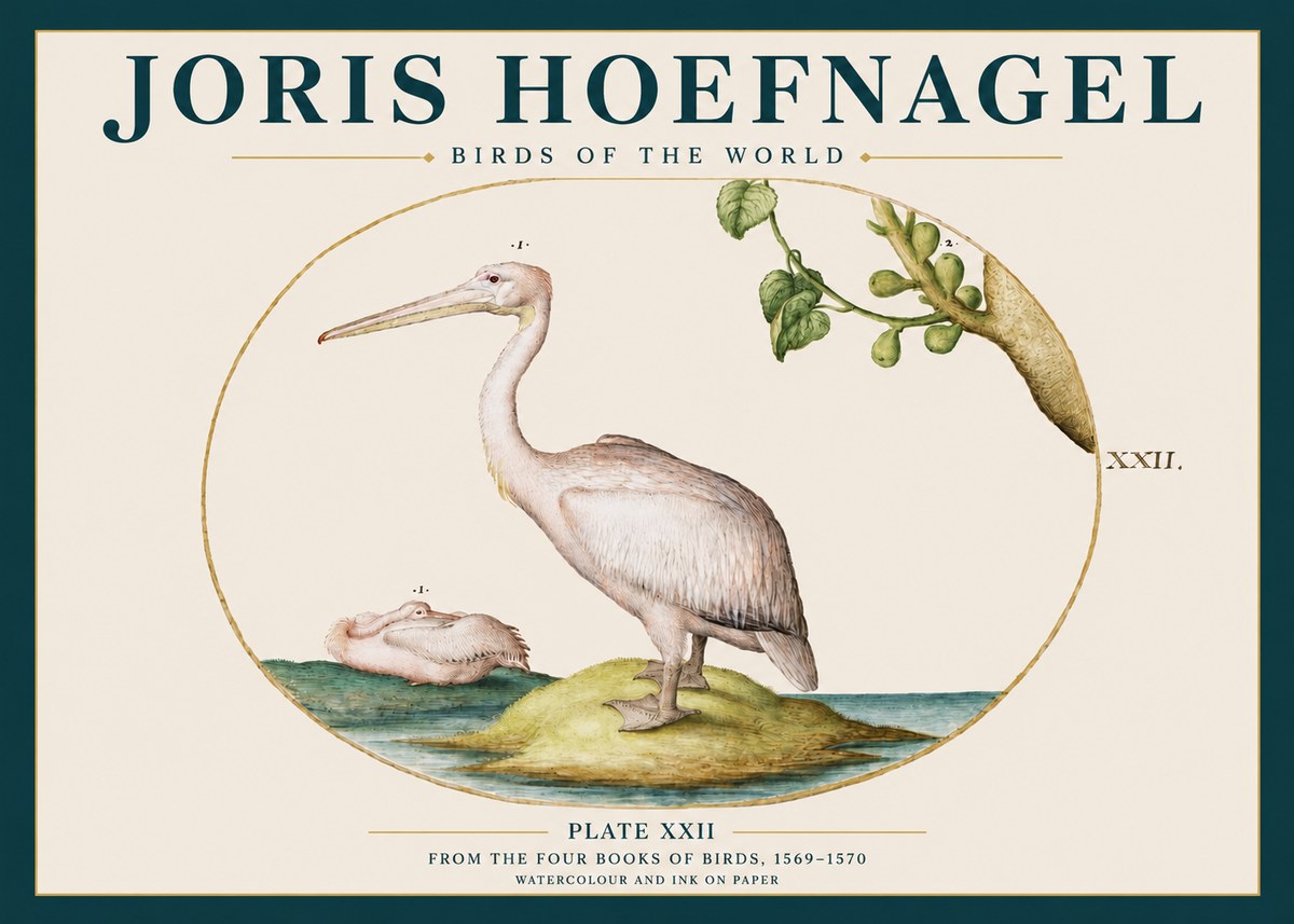 Joris Hoefnagel Plate Xxii No3 - Poszter