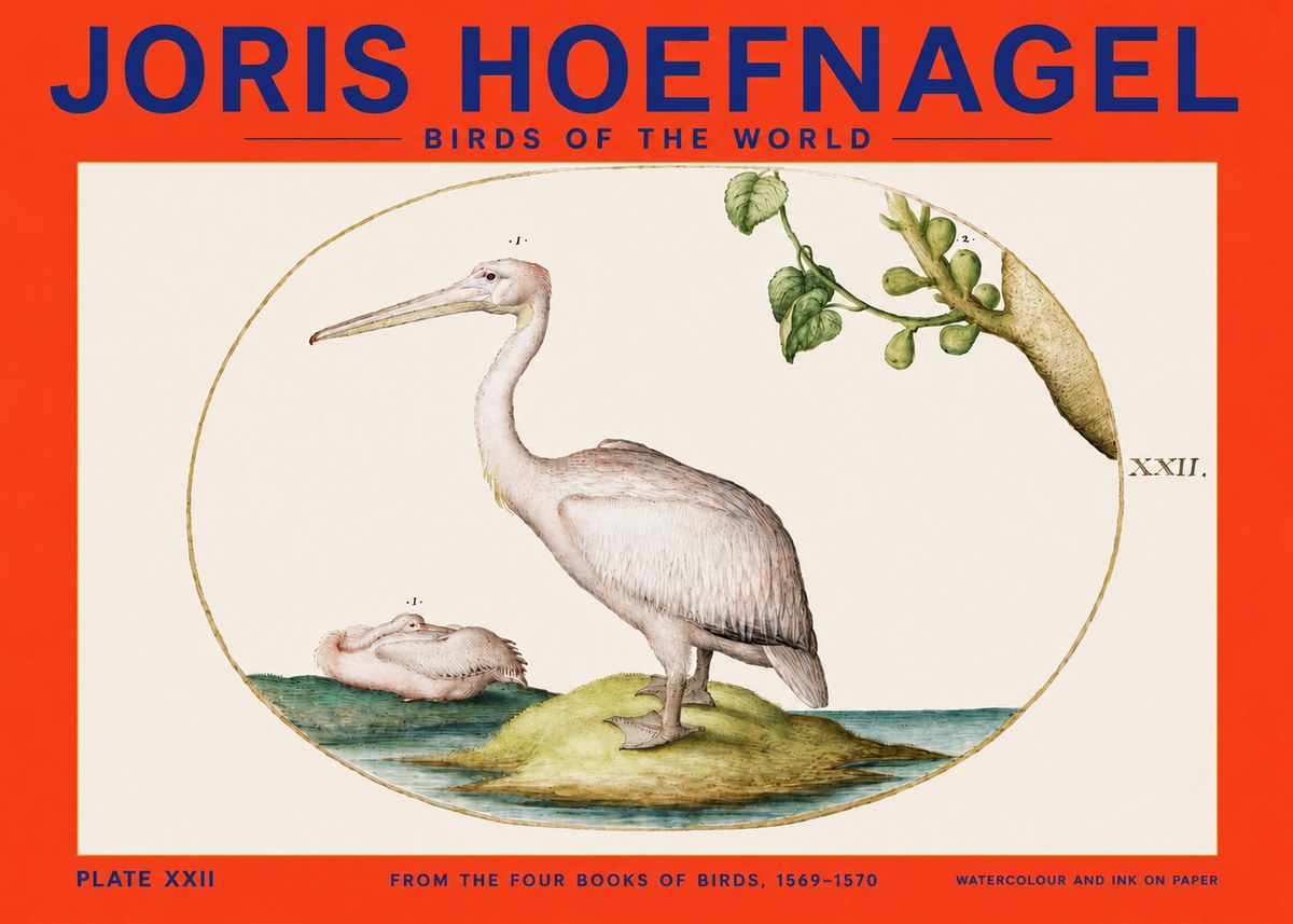 Joris Hoefnagel Plate Xxii No4 - Poszter