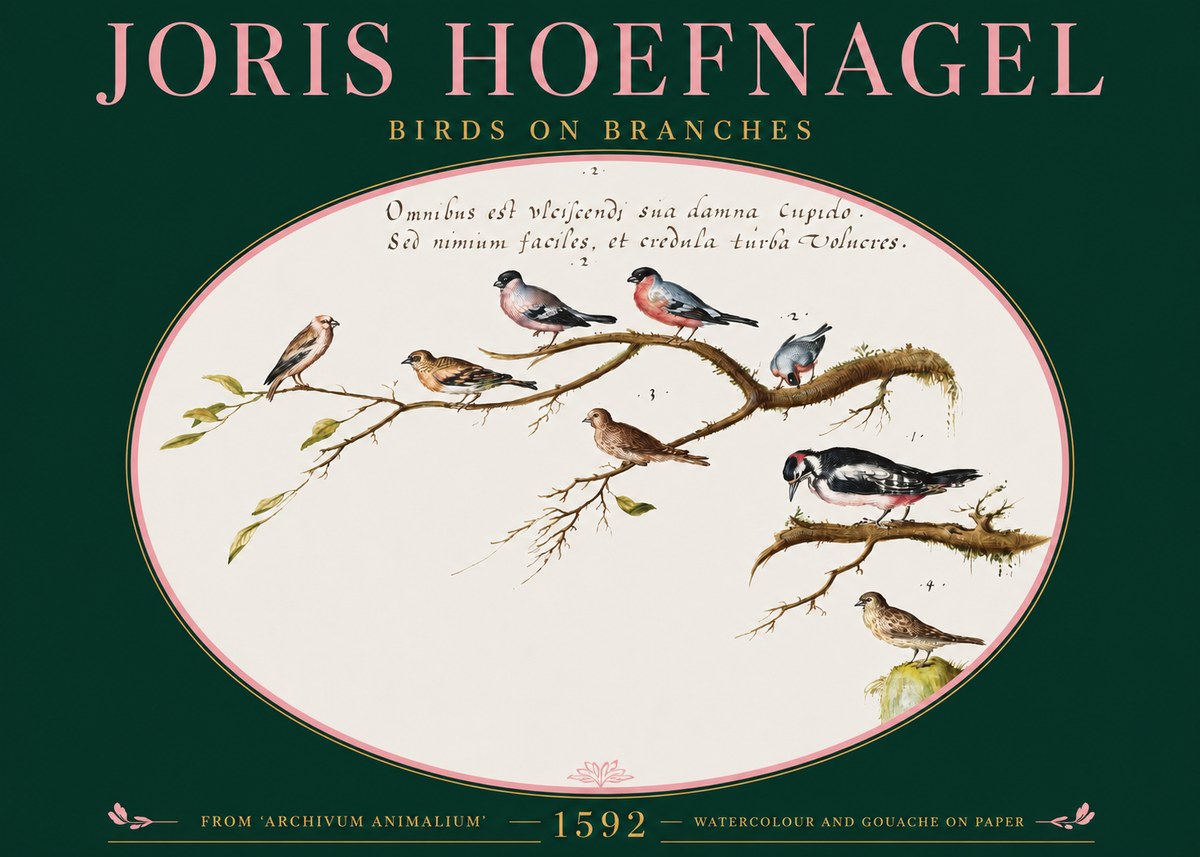 Joris Hoefnagel Birds on Branches No2 - Poszter